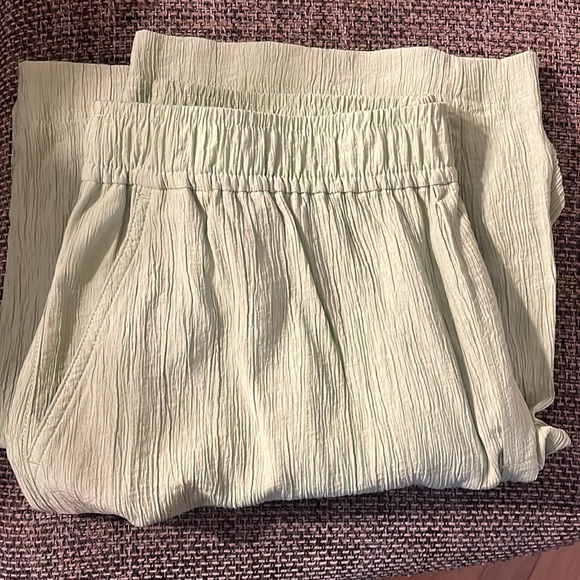 Madewell green pull on wide leg pant NWT - Picture 3 of 5